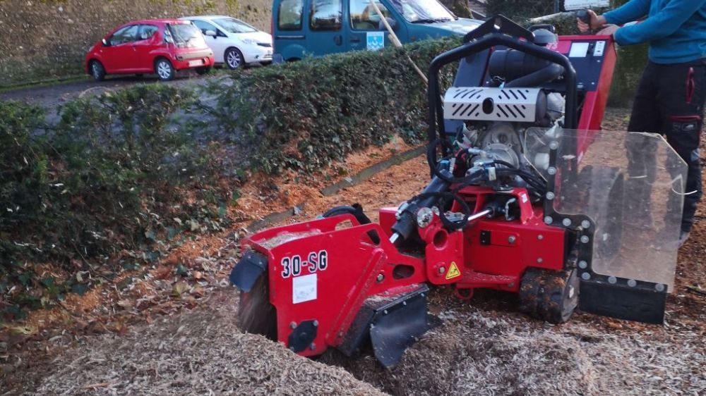 6 Dessouchage dans le Vaucluse Serpe Avignon.jpg